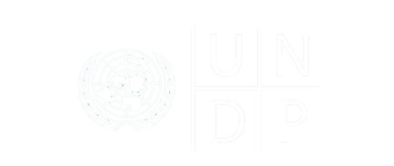 undp logo white