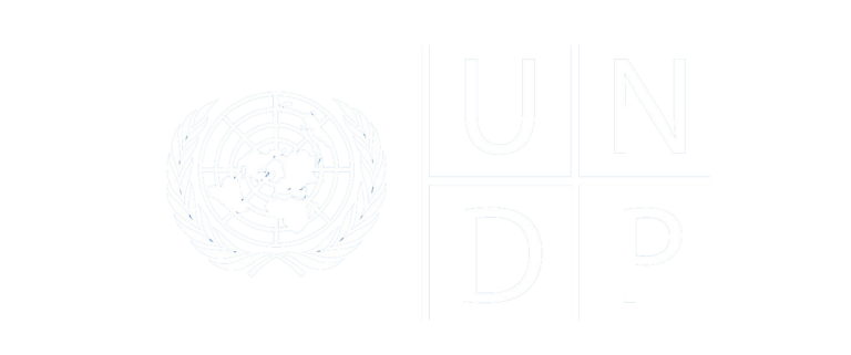 undp logo white